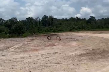 Port Of Tanjung Pelepas