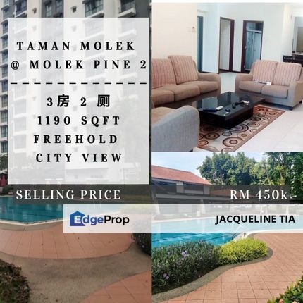 Condo Molek Pine 2 For Sale , Johor, Johor Bahru