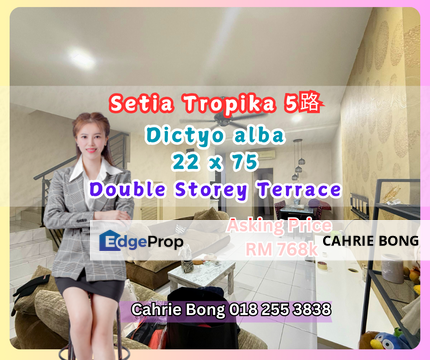 Dictyo alba @ Setia Tropika 5, Johor, Johor Bahru