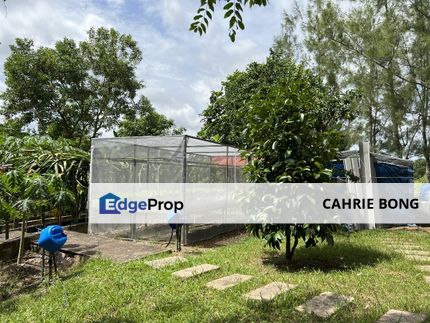Leisure Farm Bunglow Land For Sale, Johor, Gelang Patah