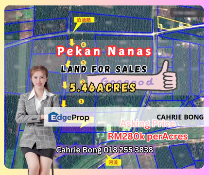 Pekan Nanas Land For Sales, Johor, Pontian
