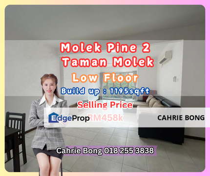 Taman Molek, Molek Pine 2, Johor, Johor Bahru