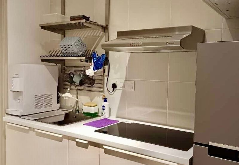 Eco Bloom @ Eco Meadows