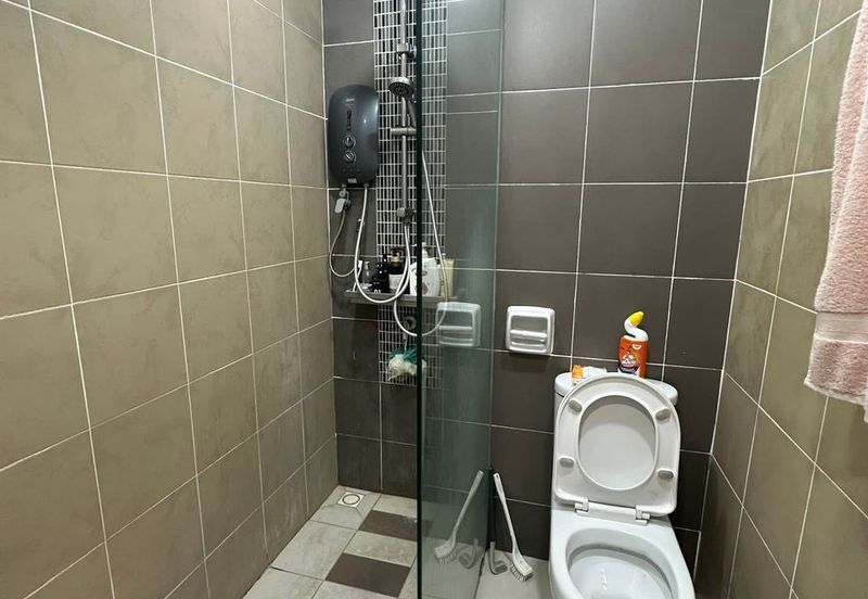 Tree Sparina @ Ideal Vision Park