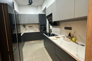 Tree Sparina @ Ideal Vision Park