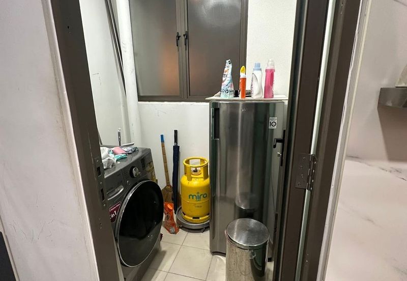 Tree Sparina @ Ideal Vision Park