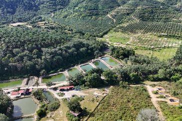 Lebuhraya Butterworth - Kulim