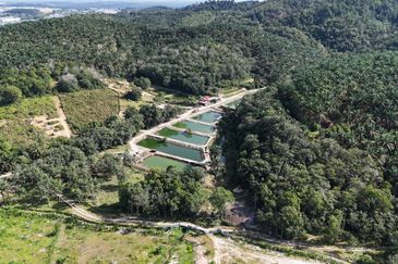 Lebuhraya Butterworth - Kulim