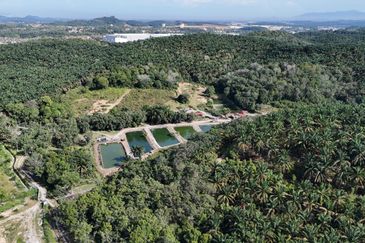 Lebuhraya Butterworth - Kulim