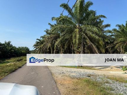 Simpang Renggam Agriciltural Land, Johor, Kluang