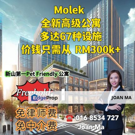 Molek Ponderosa, Johor, Johor Bahru