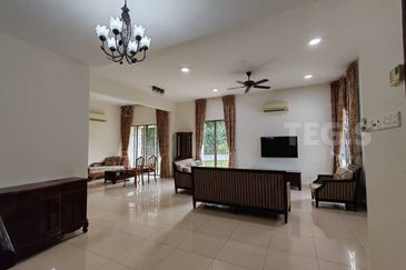 Anggerik Doritis @ Kota Kemuning