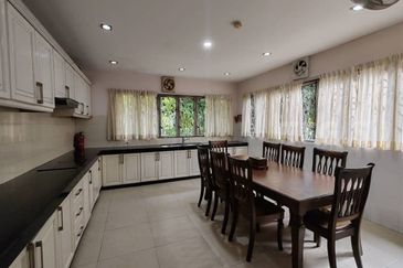 Anggerik Doritis @ Kota Kemuning