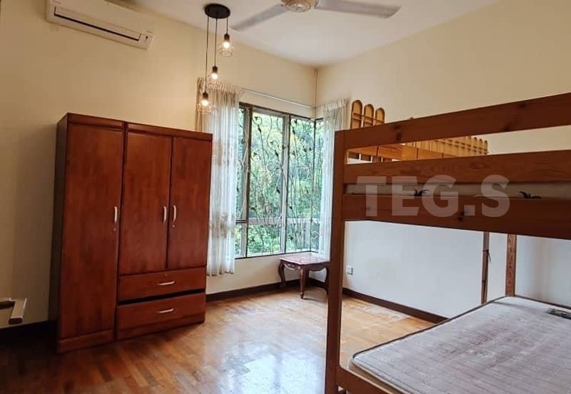 Anggerik Doritis @ Kota Kemuning