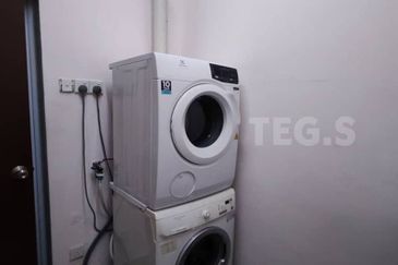 Anggerik Doritis @ Kota Kemuning