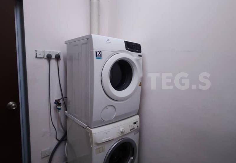 Anggerik Doritis @ Kota Kemuning