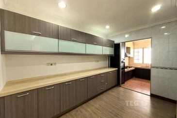 Anggerik Doritis @ Kota Kemuning