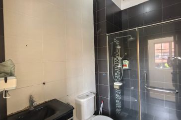 Anggerik Doritis @ Kota Kemuning