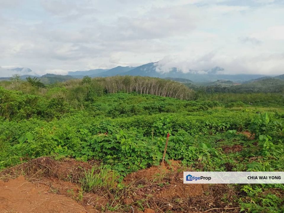 [Sales - Rm250k]  4.983sf Acres Agriculture Land  LENGGONG @ Perak, Perak, Hulu Perak
