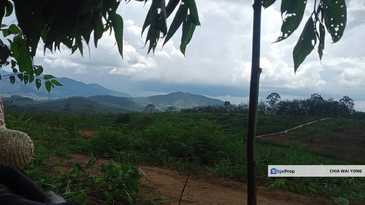 [Sales - Rm250k]  4.983sf Acres Agriculture Land  LENGGONG @ Perak, Perak, Hulu Perak