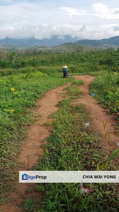 [Sales - Rm250k]  4.983sf Acres Agriculture Land  LENGGONG @ Perak, Perak, Hulu Perak