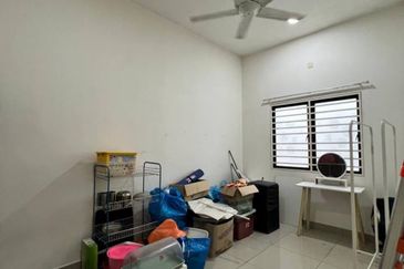 Crista (Erythrina Series), Setia Alam