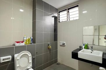 Crista (Erythrina Series), Setia Alam