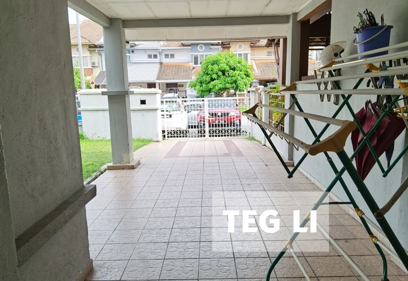 Anggerik Doritis @ Kota Kemuning