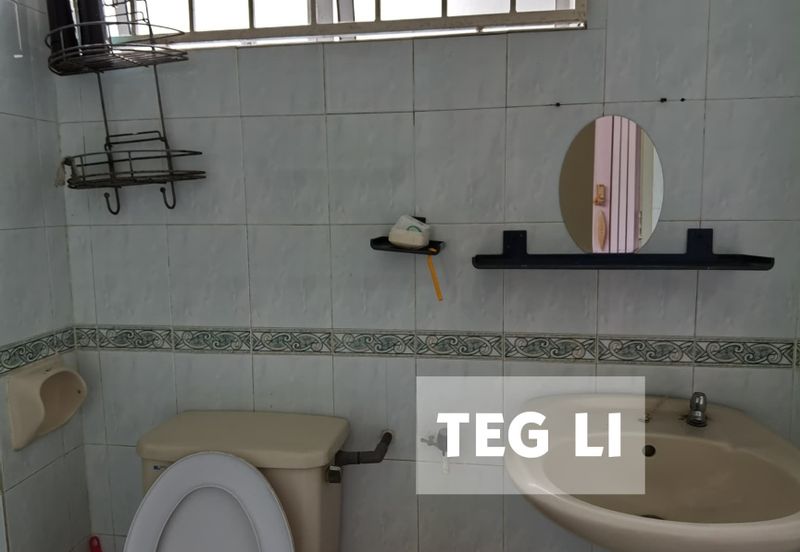 Anggerik Doritis @ Kota Kemuning