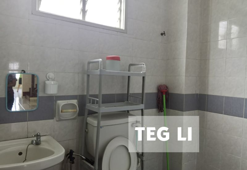 Anggerik Doritis @ Kota Kemuning