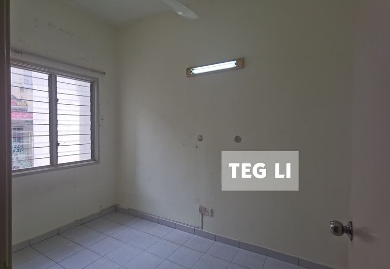 Anggerik Doritis @ Kota Kemuning