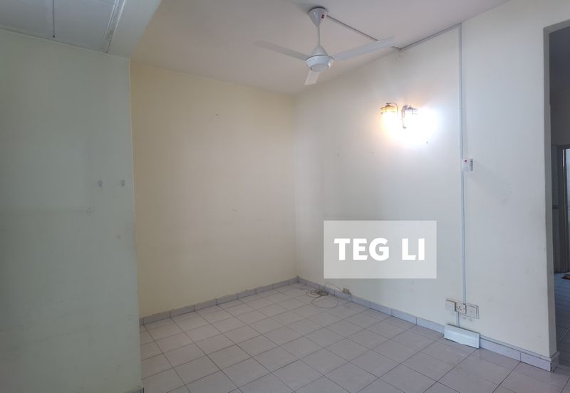 Anggerik Doritis @ Kota Kemuning