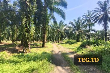 Jenjarom Industrial Park