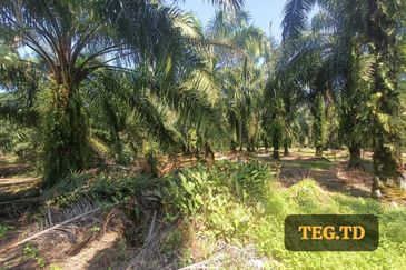 Jenjarom Industrial Park