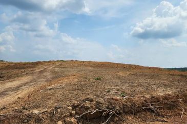 Mentakab Agricultural Land