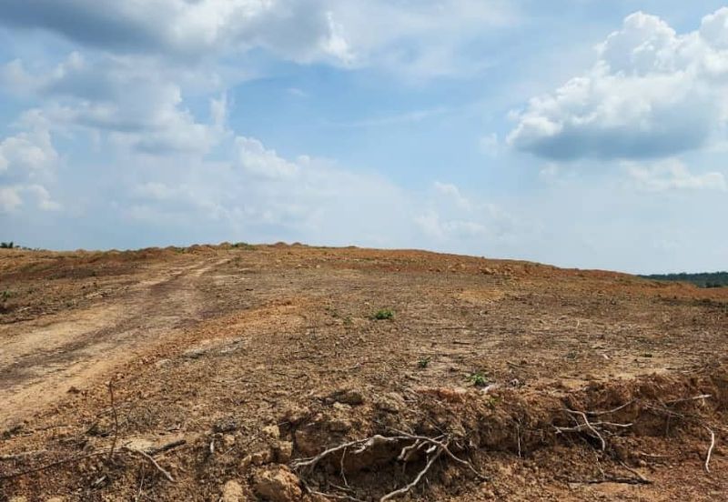 Mentakab Agricultural Land