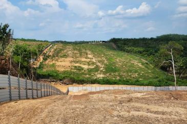 Mentakab Agricultural Land
