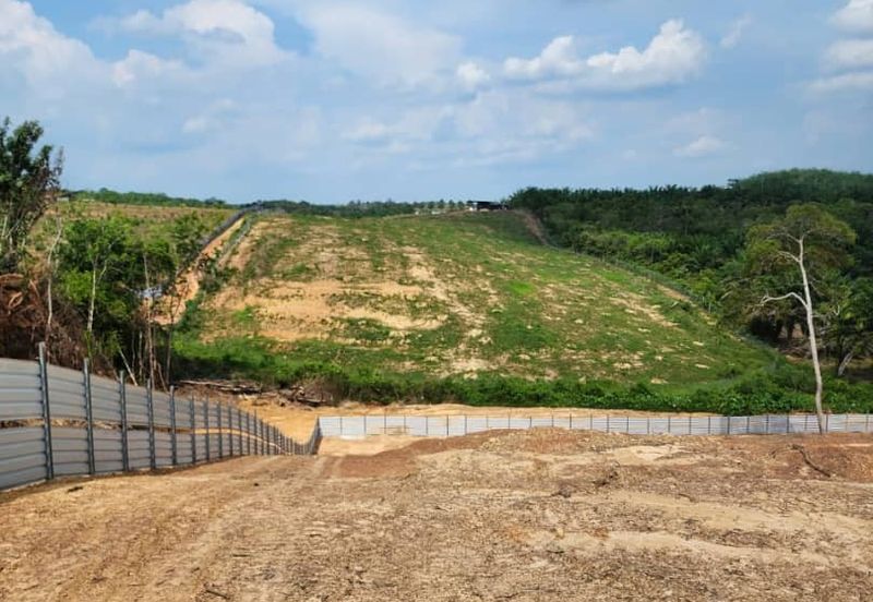 Mentakab Agricultural Land
