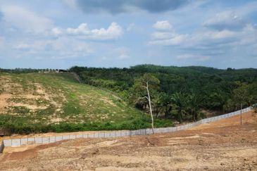 Mentakab Agricultural Land
