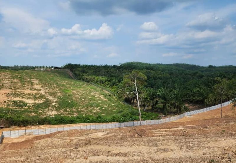 Mentakab Agricultural Land