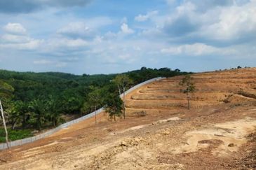 Mentakab Agricultural Land
