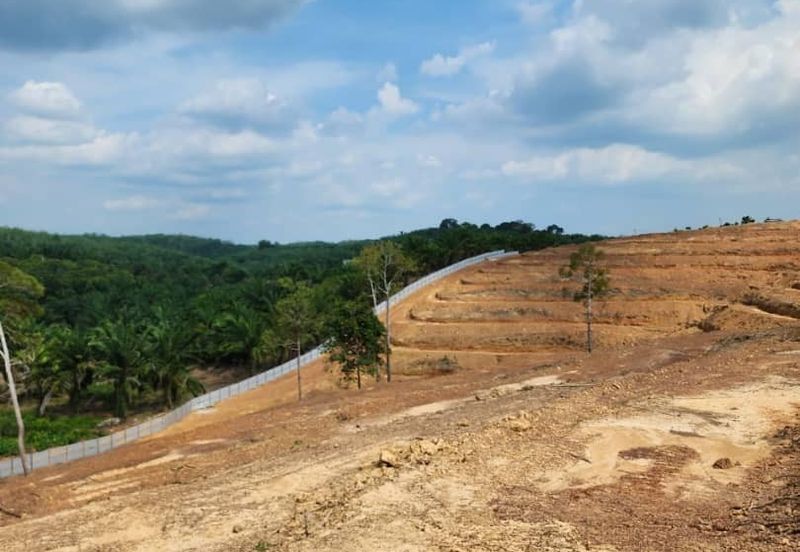 Mentakab Agricultural Land