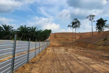 Mentakab Agricultural Land