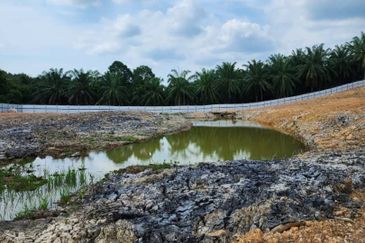 Mentakab Agricultural Land