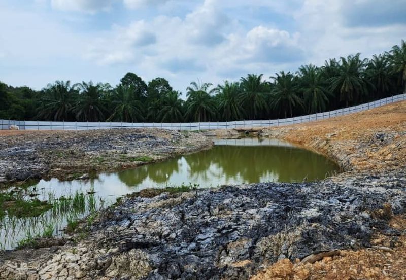 Mentakab Agricultural Land