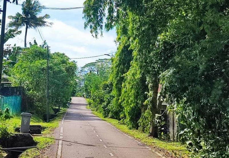 Jalan Trus, Bandar Johor Bahru