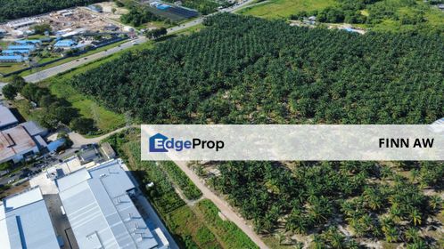 Pontian Johor Agriculture Land For Sale , Johor, Pontian