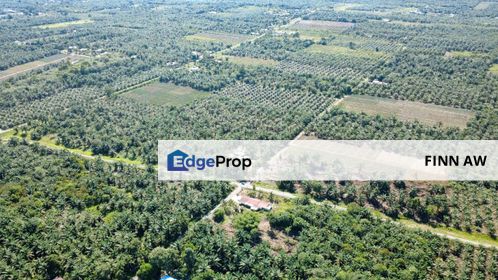 Pontian Johor Agriculture Land For Sale , Johor, Pontian