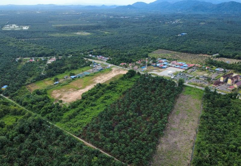 Pekan Nanas Industrial