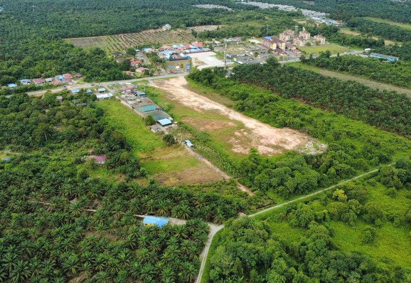 Pekan Nanas Industrial